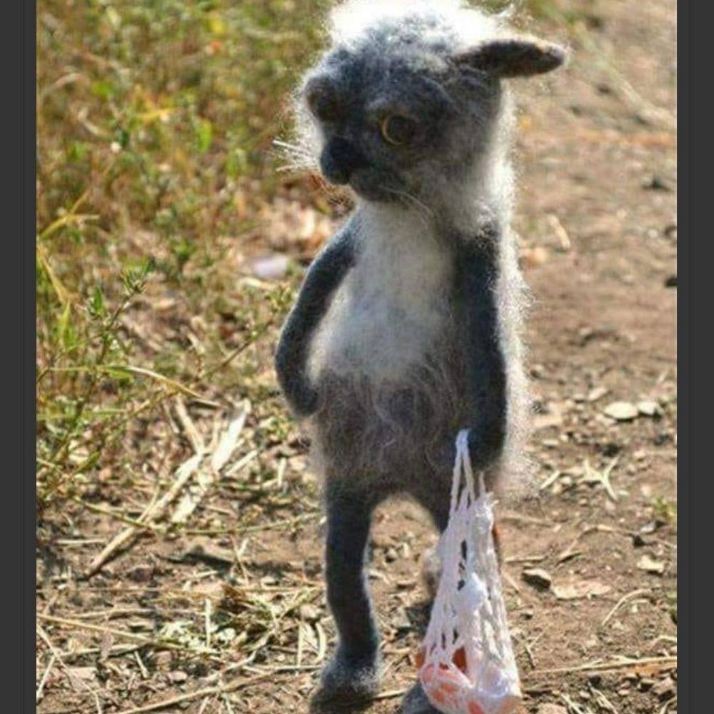 Meet your Posher, Rayburn